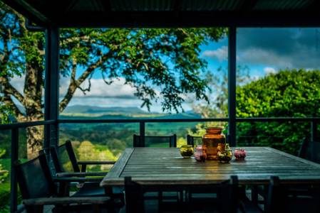 whiskeydreekrd806_0805-111118 copy