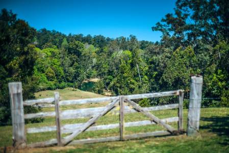 kalangrd184-2239 copy