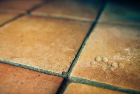 kalangrd184-2026 copy