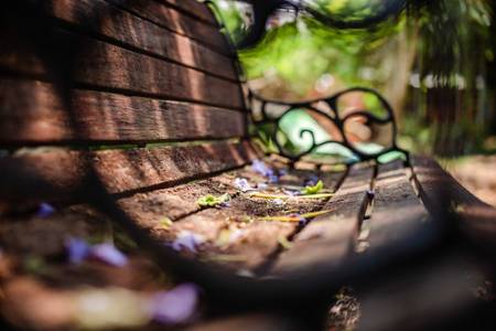 watsonst2_0584-291019 copy