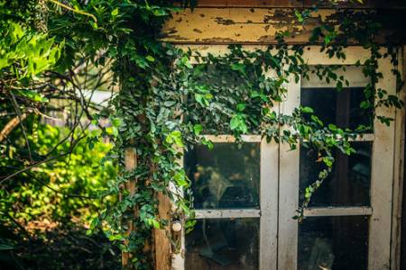 watsonst2_0579-291019 copy