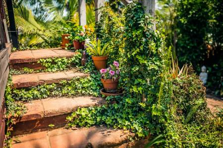 watsonst2_0526-291019 copy