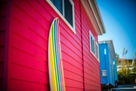 wallacest5_0245 copy