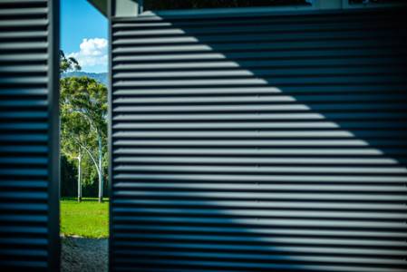 rosesrd607d800_6013-120319 copy