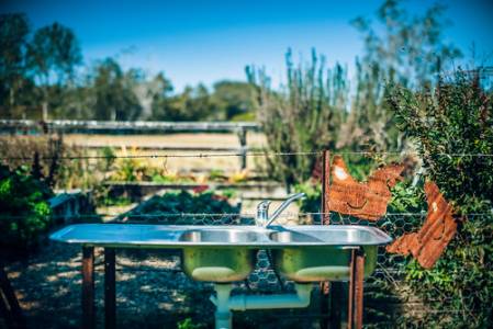 oldpuntrd8_1385 copy