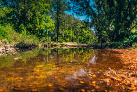 kalangrd184-1983 copy